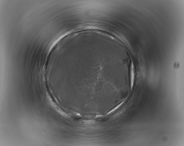 X0000112750798200909101538