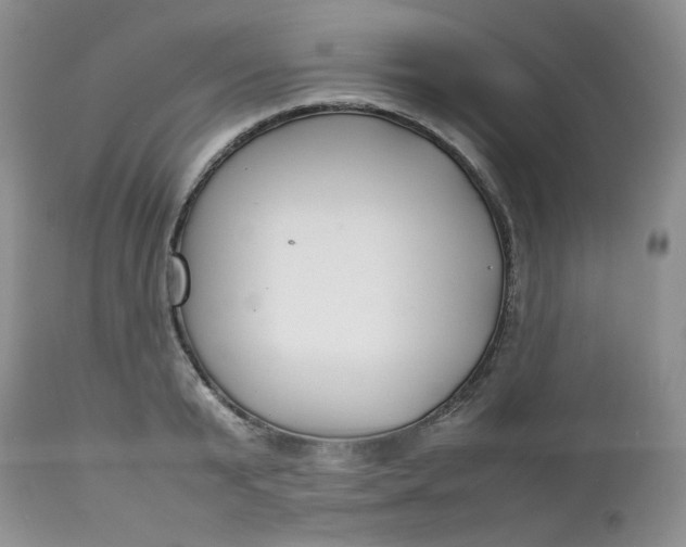 X0000112750799200909101538