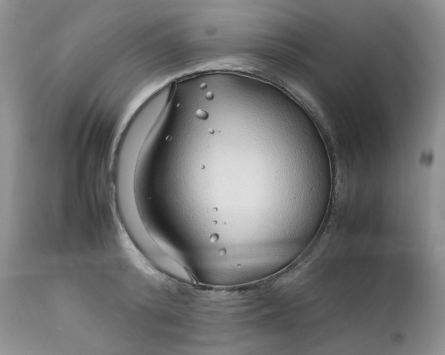 X0000112750800200909101538