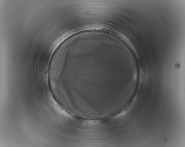 X0000112750802200909101538