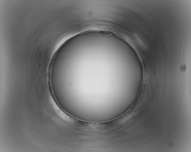 X0000112750803200909101538