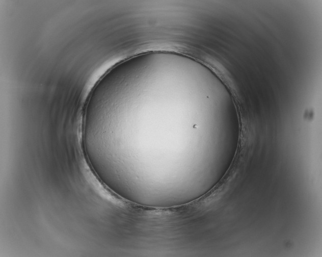 X0000112750804200909101538