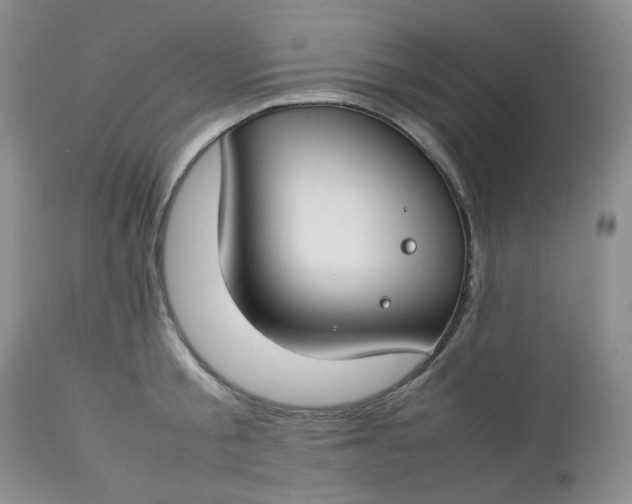 X0000112750805200909101538