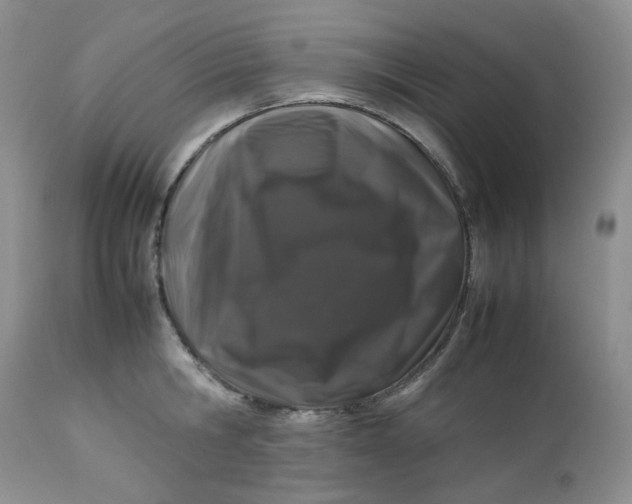 X0000112750806200909101538