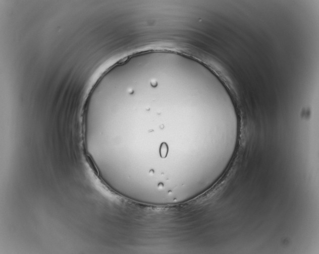 X0000112750808200909101538