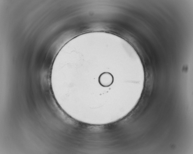 X0000112750810200909101538