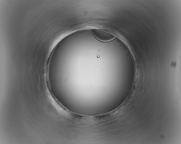 X0000112750811200909101538