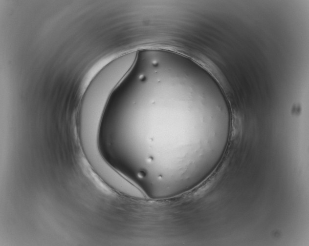 X0000112750812200909101538