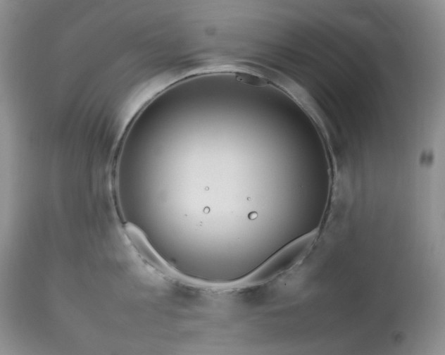 X0000112750813200909101538