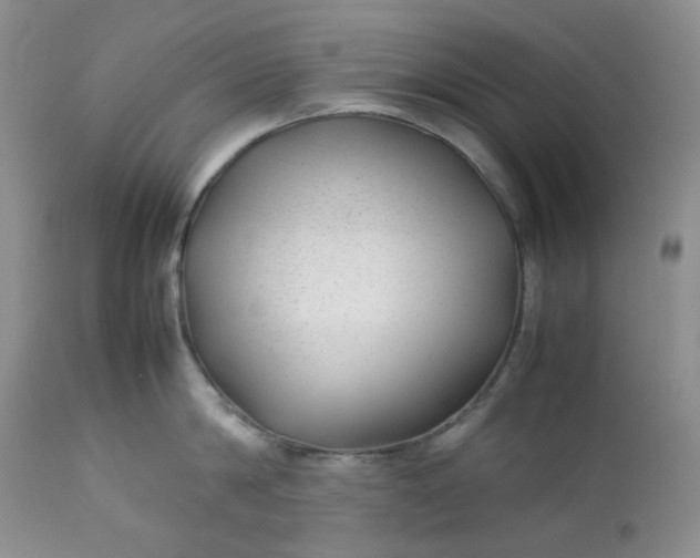 X0000112750814200909101538