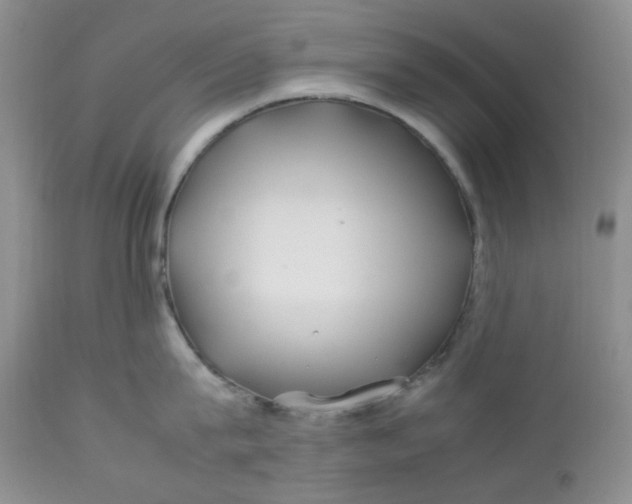 X0000112750815200909101538