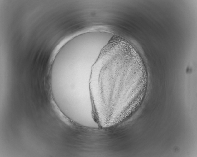 X0000112750816200909101538