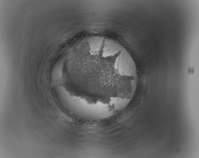 X0000112750817200909101538