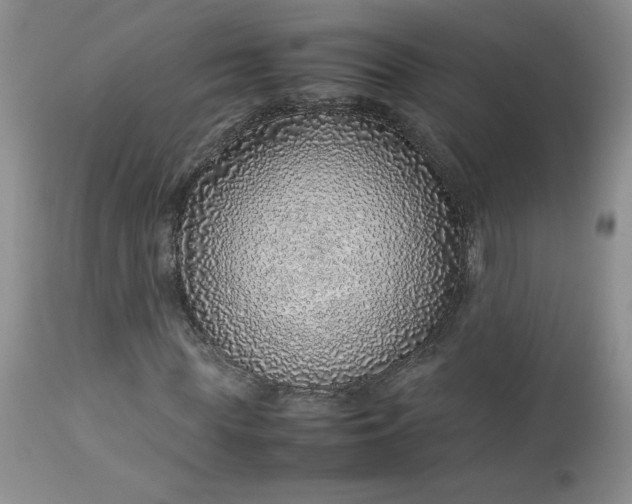 X0000112750819200909101538