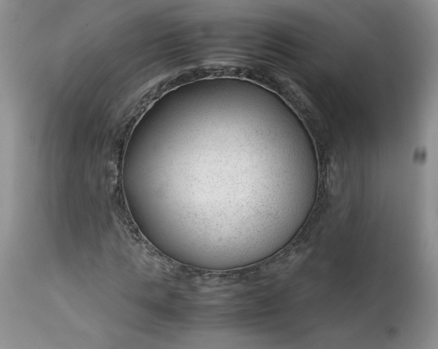 X0000112750821200909101538