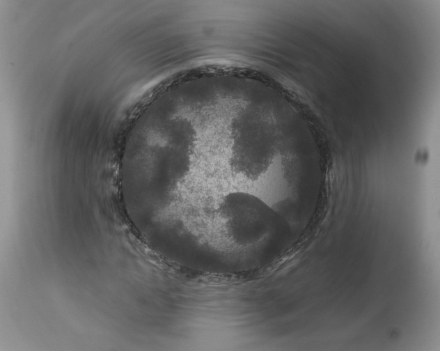 X0000112750822200909101538