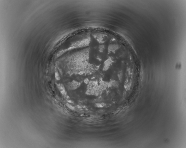 X0000112750823200909101538