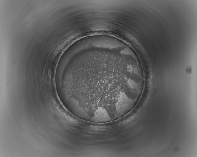 X0000112750825200909101538