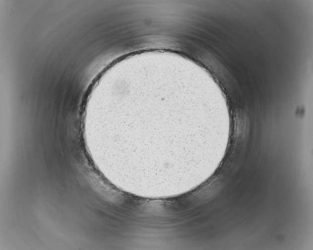 X0000112750828200909101538