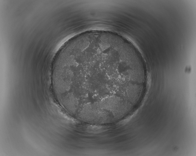 X0000112750829200909101538