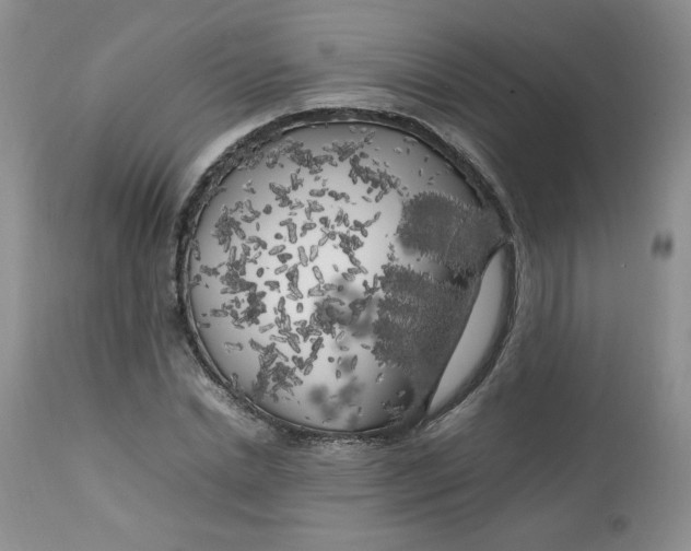 X0000112750830200909101538