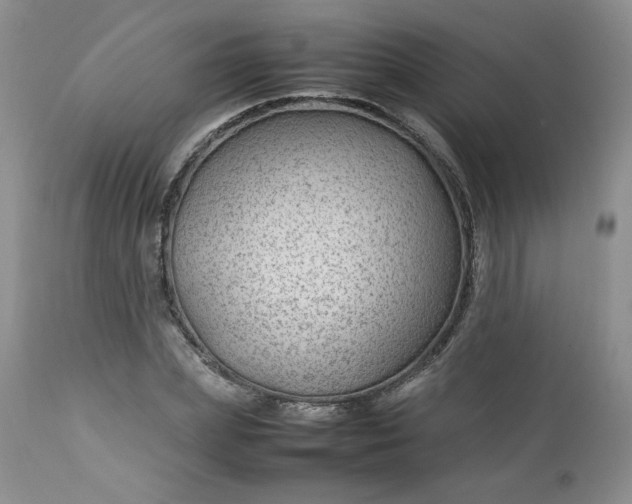 X0000112750831200909101538