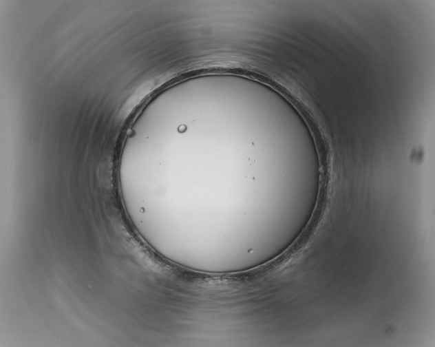 X0000112750834200909101538