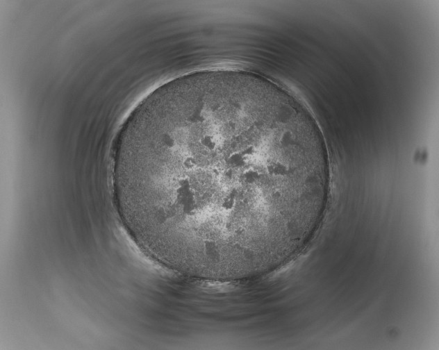 X0000112750835200909101538