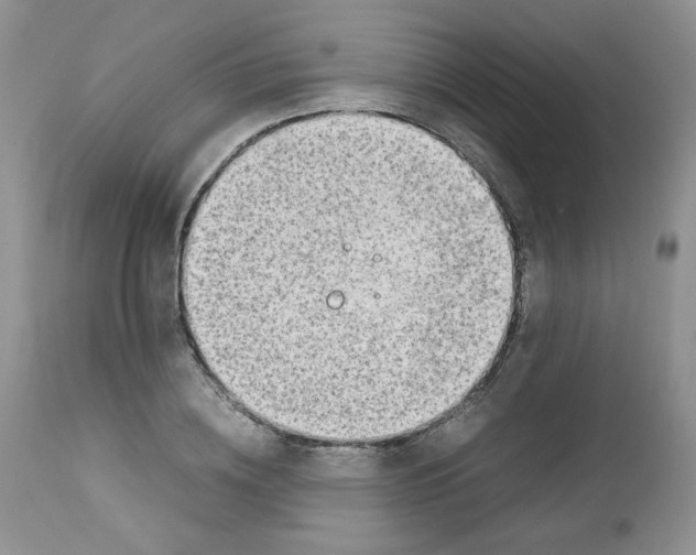 X0000112750836200909101538