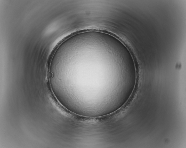 X0000112750838200909101538