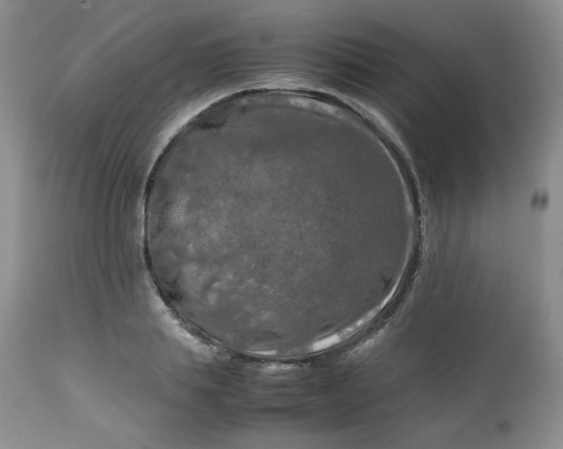 X0000112750839200909101538