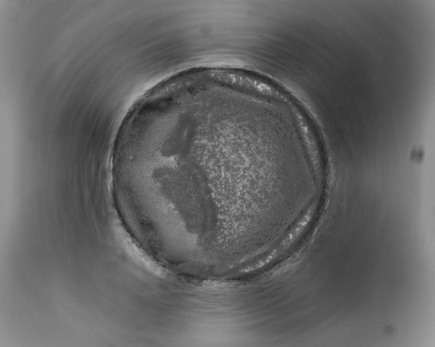 X0000112750840200909101538