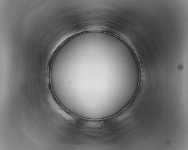 X0000112750843200909101538