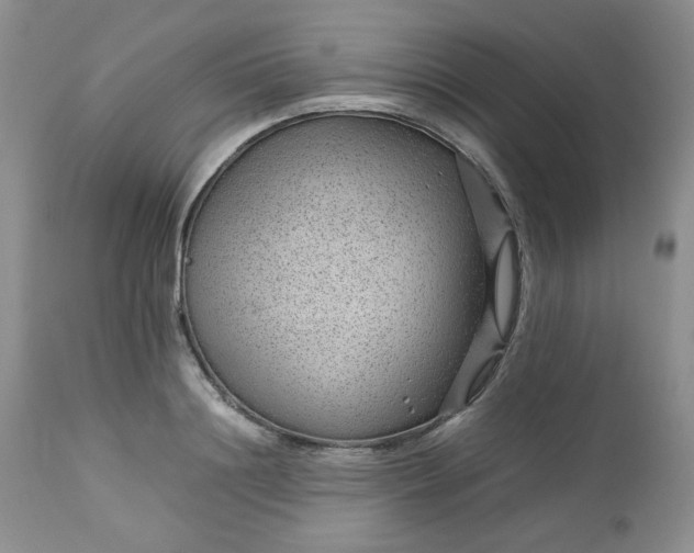 X0000112750844200909101538