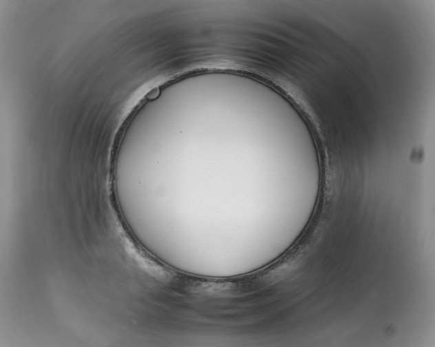 X0000112750845200909101538