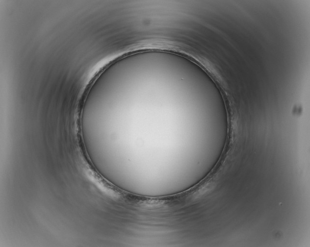 X0000112750846200909101538