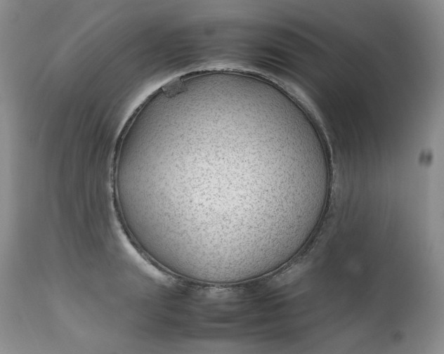 X0000112750847200909101538