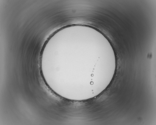 X0000112750848200909101538