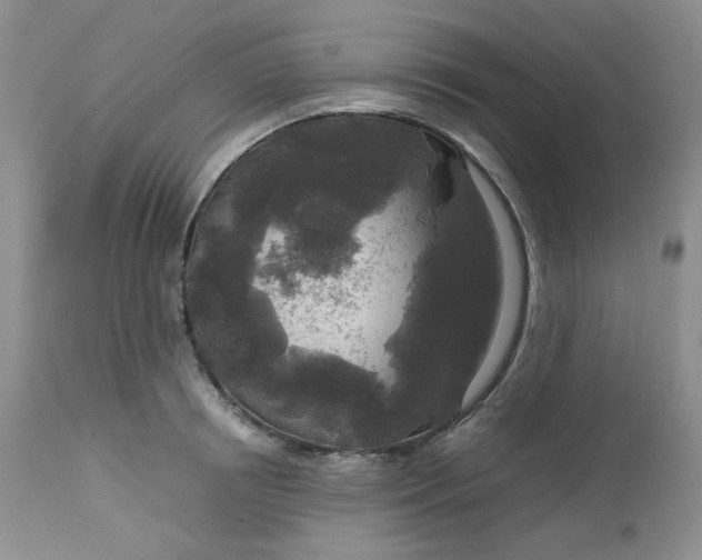 X0000112750850200909101538