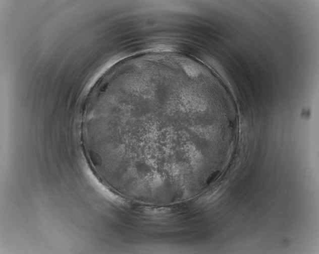 X0000112750851200909101538