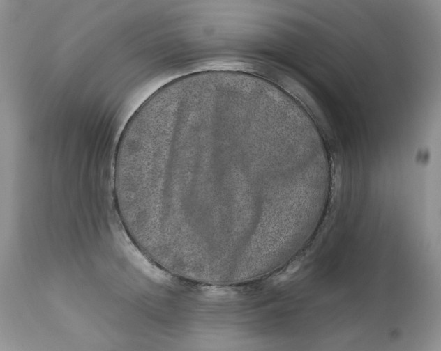 X0000112750852200909101538