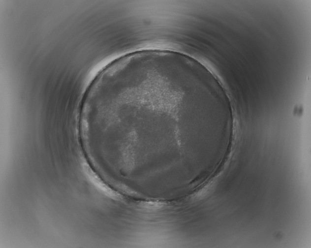 X0000112750854200909101538