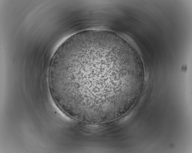 X0000112750855200909101538