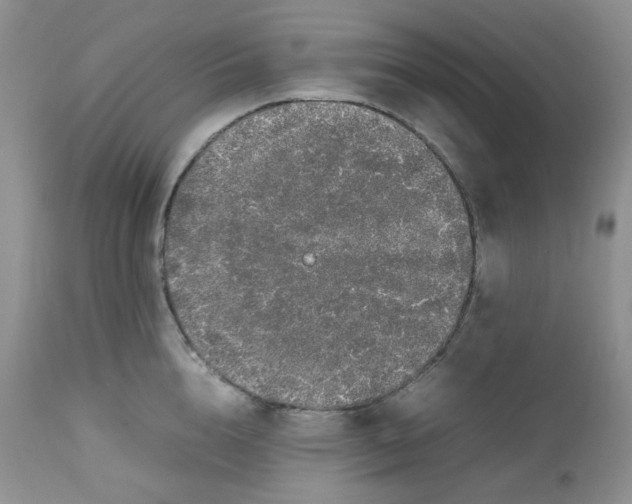 X0000112750856200909101538