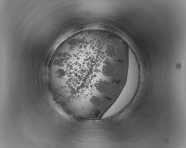 X0000112750858200909101538