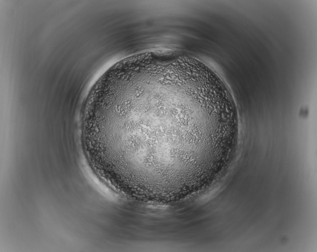 X0000112750859200909101538