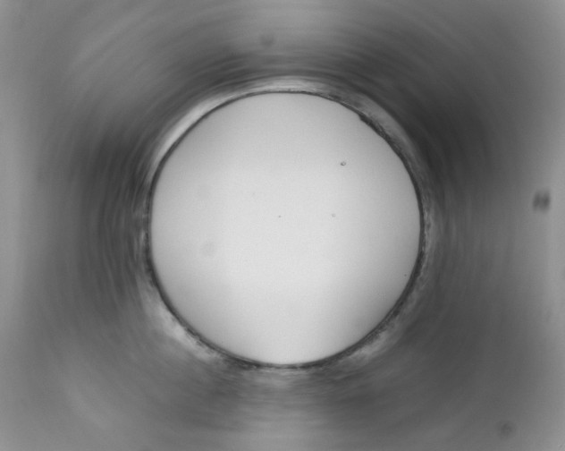 X0000112750860200909101538