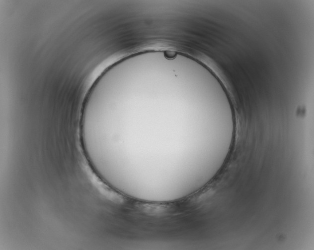 X0000112750861200909101538