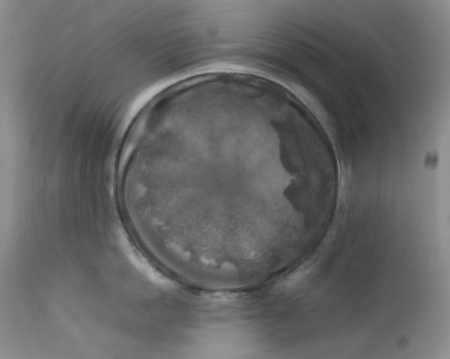 X0000112750862200909101538