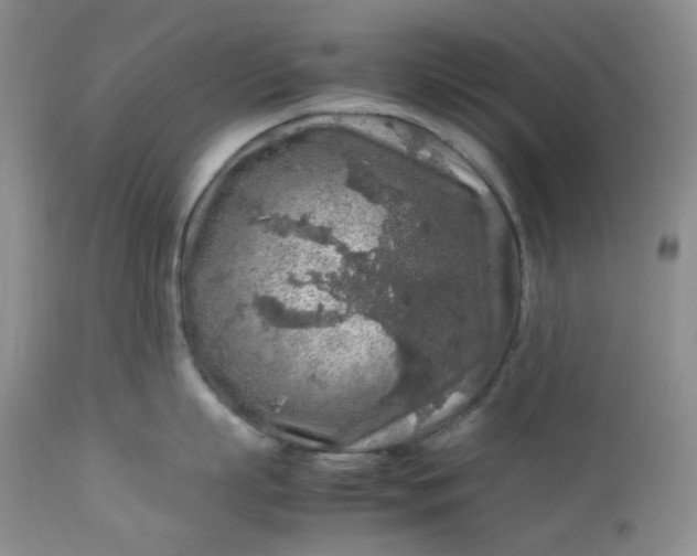 X0000112750863200909101538